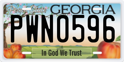 GA license plate PWN0596