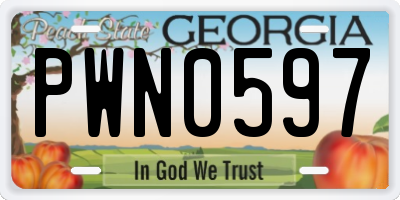GA license plate PWN0597