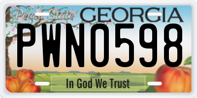 GA license plate PWN0598