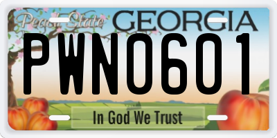GA license plate PWN0601