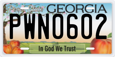 GA license plate PWN0602