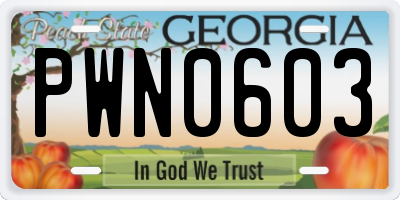 GA license plate PWN0603