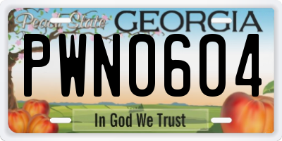GA license plate PWN0604