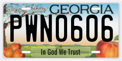 GA license plate PWN0606
