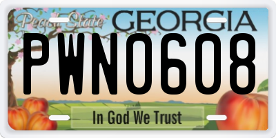GA license plate PWN0608