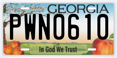 GA license plate PWN0610
