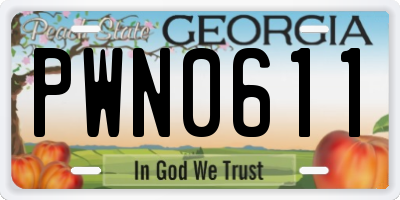 GA license plate PWN0611