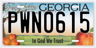 GA license plate PWN0615