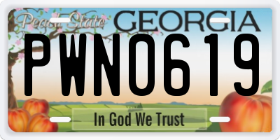 GA license plate PWN0619