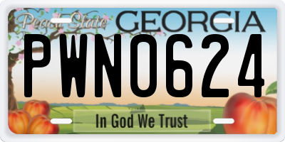 GA license plate PWN0624