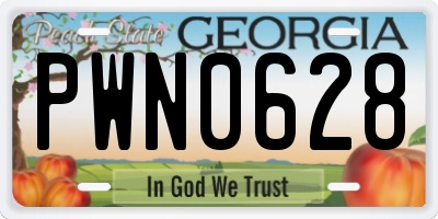 GA license plate PWN0628