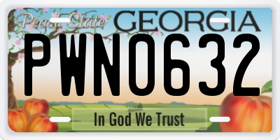 GA license plate PWN0632