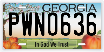 GA license plate PWN0636