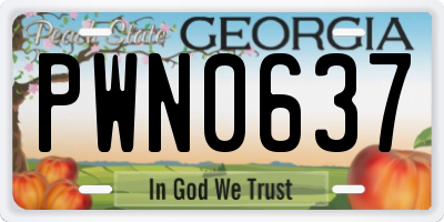 GA license plate PWN0637