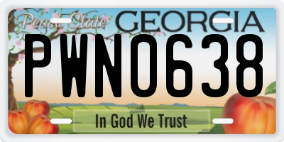 GA license plate PWN0638