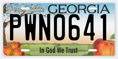 GA license plate PWN0641