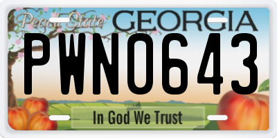 GA license plate PWN0643