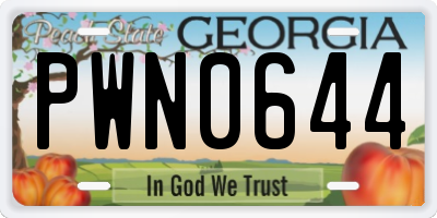GA license plate PWN0644