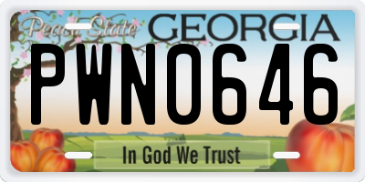 GA license plate PWN0646