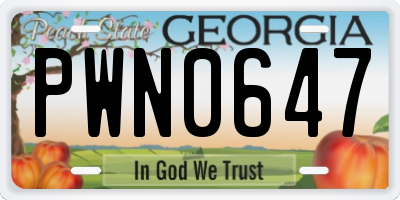 GA license plate PWN0647