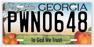 GA license plate PWN0648