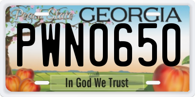 GA license plate PWN0650