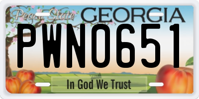 GA license plate PWN0651