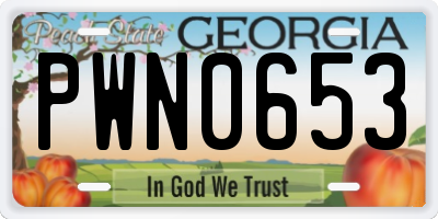 GA license plate PWN0653