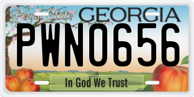 GA license plate PWN0656