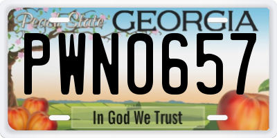 GA license plate PWN0657