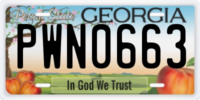 GA license plate PWN0663