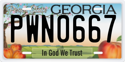 GA license plate PWN0667