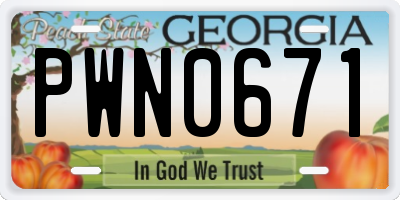 GA license plate PWN0671
