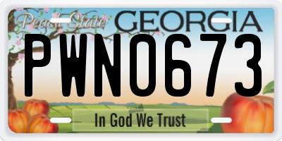GA license plate PWN0673