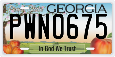 GA license plate PWN0675
