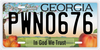 GA license plate PWN0676