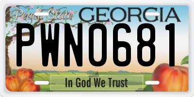 GA license plate PWN0681