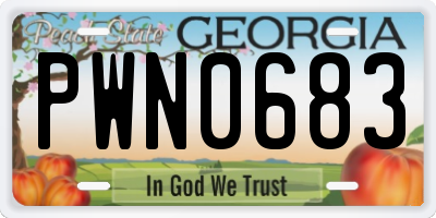 GA license plate PWN0683