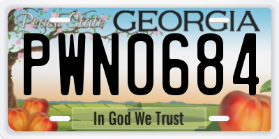 GA license plate PWN0684