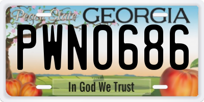 GA license plate PWN0686