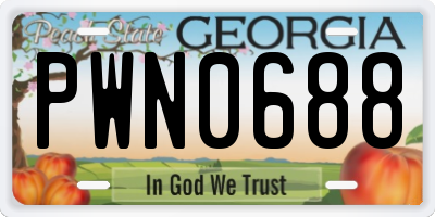 GA license plate PWN0688