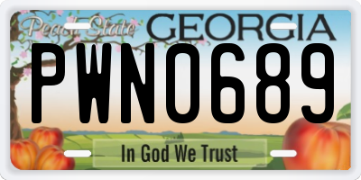 GA license plate PWN0689