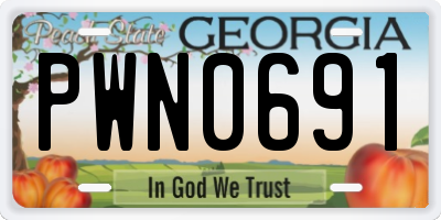 GA license plate PWN0691