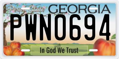 GA license plate PWN0694