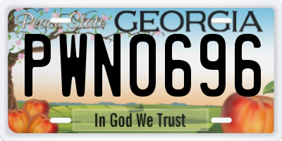 GA license plate PWN0696
