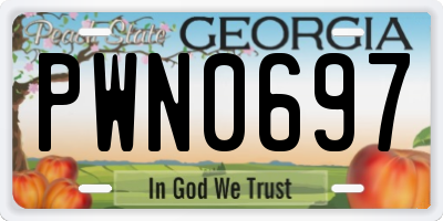 GA license plate PWN0697