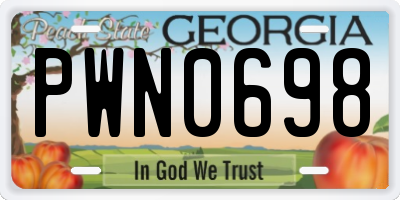 GA license plate PWN0698
