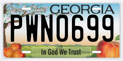 GA license plate PWN0699