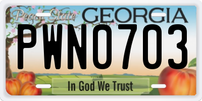 GA license plate PWN0703