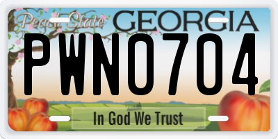 GA license plate PWN0704